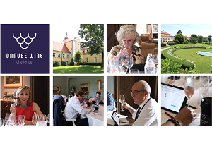 Un nuevo concurso a la Vinofed!